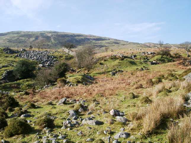 photo: IMGP0546